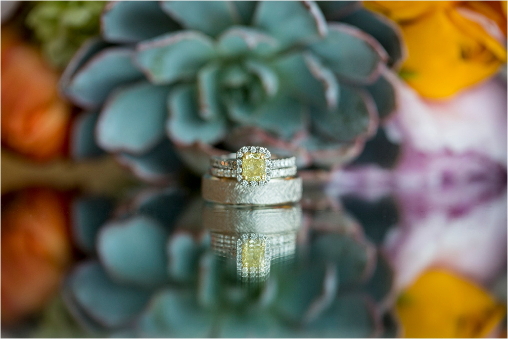 Wedding rings with succulents